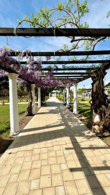 Hotel Villa Ines ميندوزا المظهر الخارجي الصورة